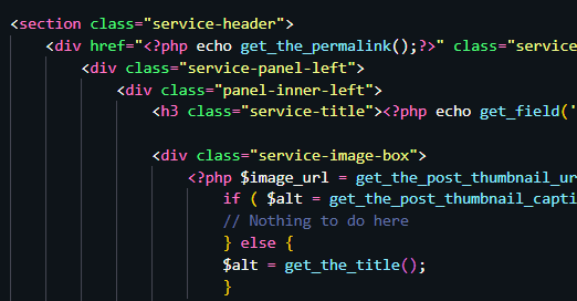 Dedicated WordPress Developer